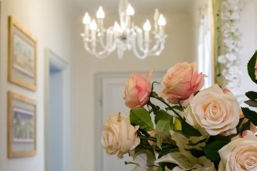B&B Guerrazzi – Pisa, MN