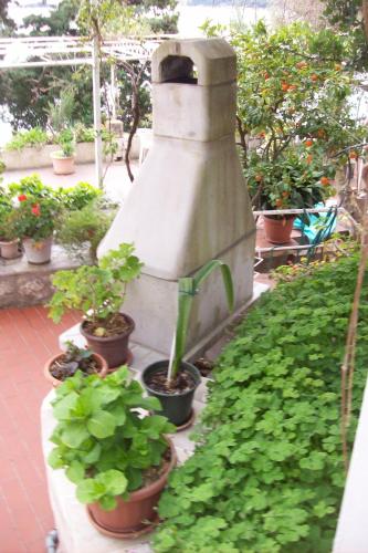 Captain's villa - image 5