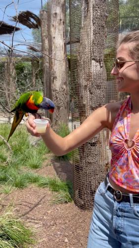 Iekārtas, Suite Aracari, clim, balneo, terrasse - Parc des Oiseaux in Villars-les-Dombes