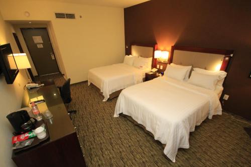 88469549 Holiday Inn Leon by IHG