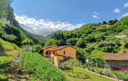 Viesnīcas āriene, Amazing Home In Fabbriche Di Vallico With Wifi in Fabbriche di Vallico