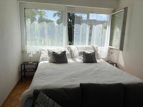 Appartement entier, calme & vue sur le parc, Geneva