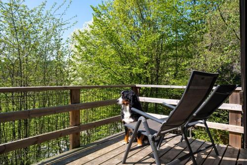 Chalet Sumo in Petite Somme