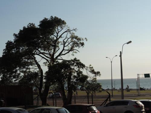 Marazul - image 5