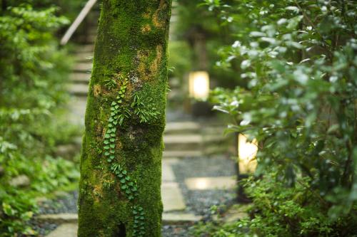 三重「AQUAIGNIS」一次享受職人美食、美人湯溫泉的紓壓景點