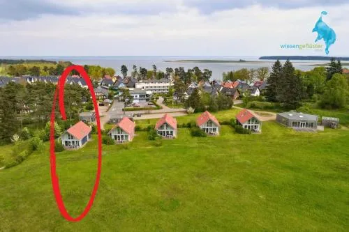Ferienhaus Wiesengeflüster S1 - mit Sauna, Kamin und Workation an der Müritz in Röbel, Deutschland