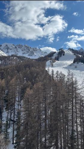 STUDIO PIED DE PISTE PELVOUX 1