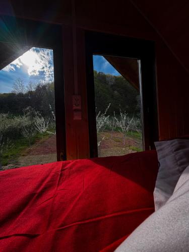 Livada Bunicilor in Valea Danului