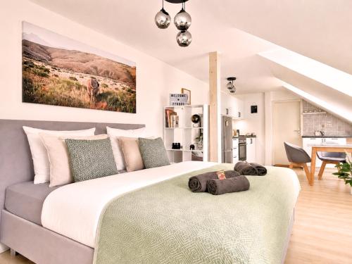 Fynbos Studio DG in der Altstadt, Frauenkirchenblick, Parkplatz - Meissen