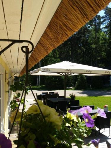 Luigeranna B&B in Kallaste (Saaremaa)
