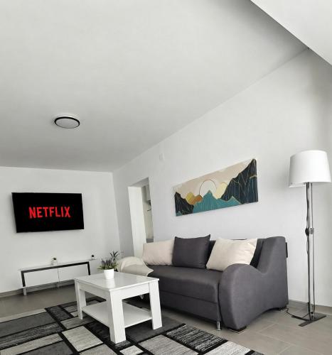 Koplietošanas atpūtas telpa ar TV, Danube Apartments in Coronini