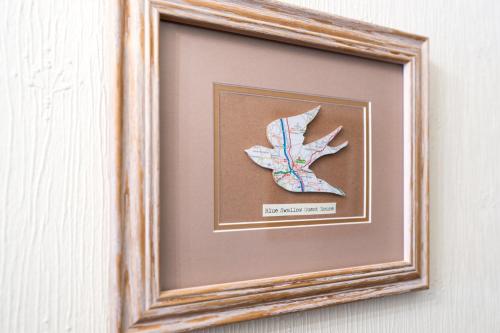 Blue Swallow - image 13