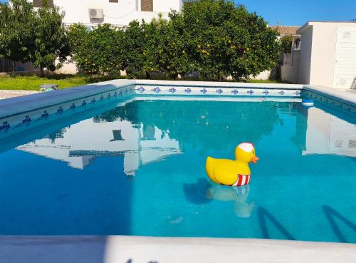 Schöne, große Wohnung in Gandia playa