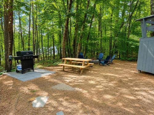 Pet Friendly Home in White Mountains NH - Close to Trails, Slopes & Story Land in Albany (NH)