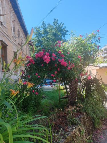 Cozy Stay Sarajevo - image 2