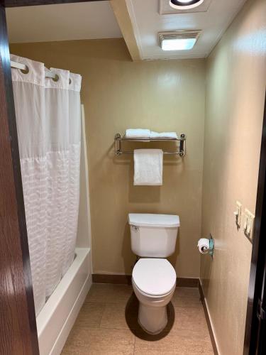Ramada by Wyndham Glendale Heights/Lombard - image 11