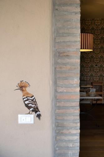 L'Upupa Bed & Breakfast in Muscoline