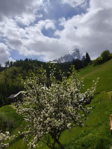 A szálláshely kívülről, Lüch dl Pinter (Luch dl Pinter) in San Martino In Badia