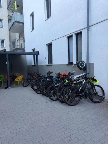 Sports and activities, Hotel Linzer City - 24H Check-In in Linz