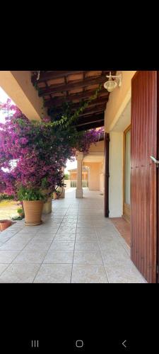 Villa avec jardin au calme à 7 min de Cassis gîte à louer Les Barles