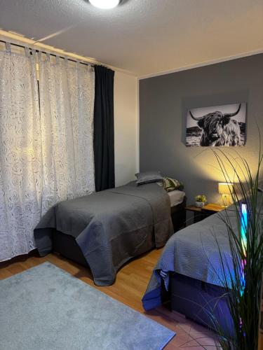 Best Preis Stadtoase HBF Salzwedel Apartment am Bahnhof fuer max 3 Personen mit Boxspringbetten Schlafcouch Kueche und 2x TV