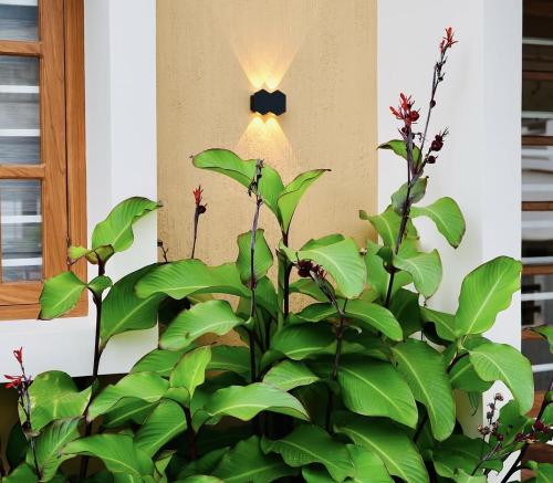 Happyland homestay - image 2