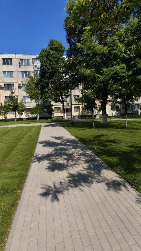 Viesnīcas āriene, Danube Apartments in Coronini