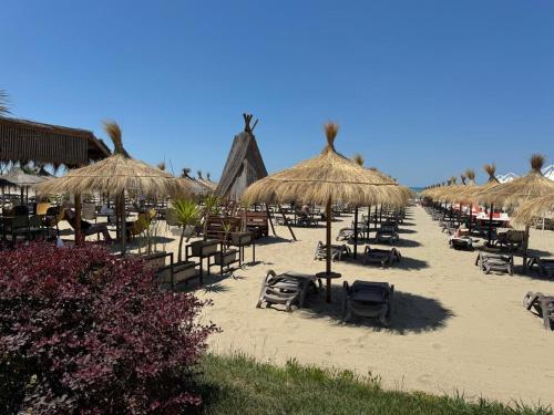 Modern Oasis - 5-Min Walk to Beach - image 2