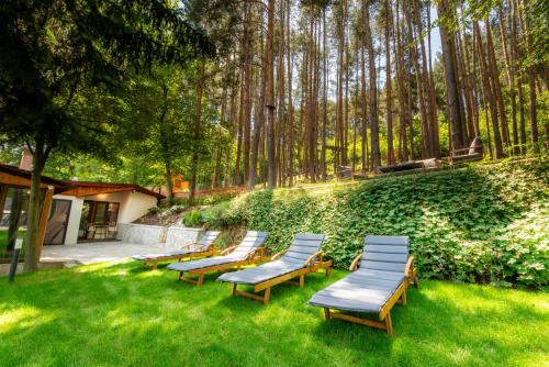 Вила Бучала Villa Buchala in Dupnitsa