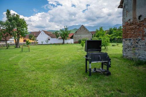 Dārzs, Curte la Munte - charming village house in Sebesu De Sus