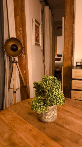 STYLE RENTAL malasaña