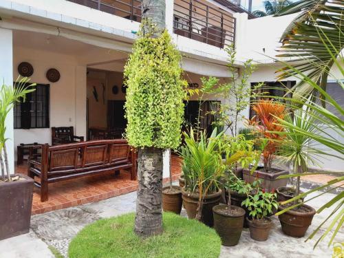 Sanctuary Transient House Bacolod near Bacolod Ruins