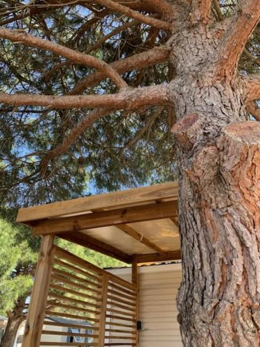 Camping Mar'Estang