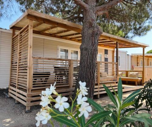 Camping Mar'Estang