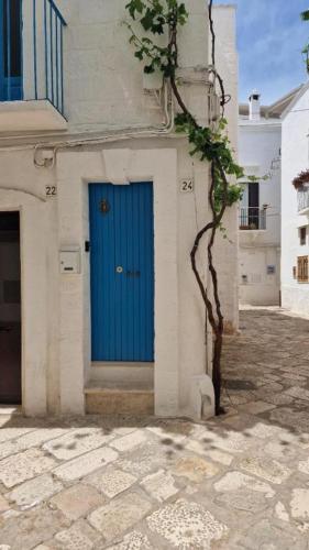Casa Sophia