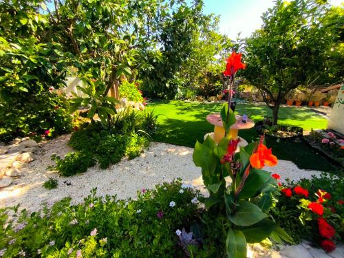 Dārzs, Nature Escape in Beautiful Miliou in Miliou