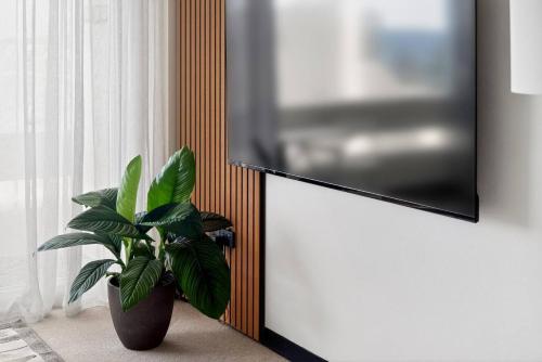 Love Nest on Nine - Awake to the Panorama of Manly - image 6