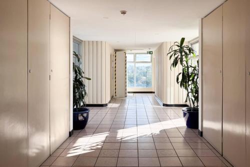 Love Nest on Nine - Awake to the Panorama of Manly - image 13