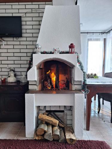 Vila Borjak in Aleksandrovac