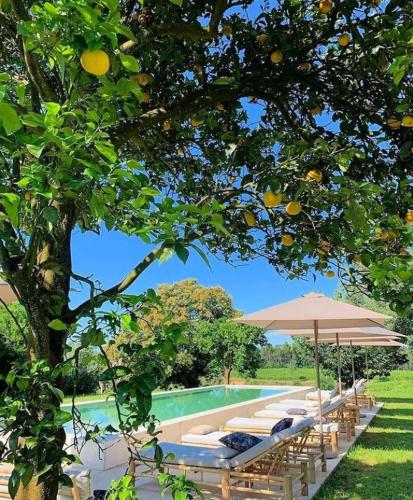 Terra Rosa Country House & Vineyards - Ponte da Barca