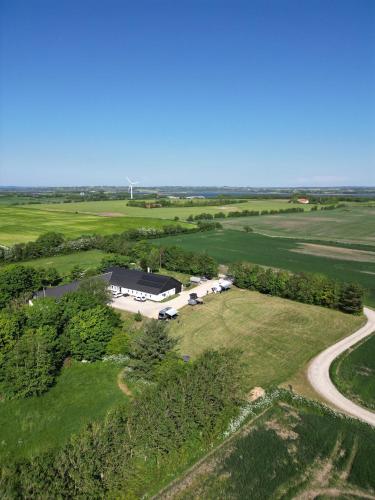 Alpaca Bed & Fields in Skyum