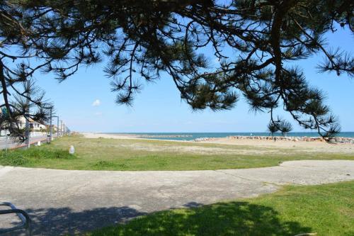 SC710-129D Appartement AU PORT VUE MER ST CYPRIEN PLAGE - image 2