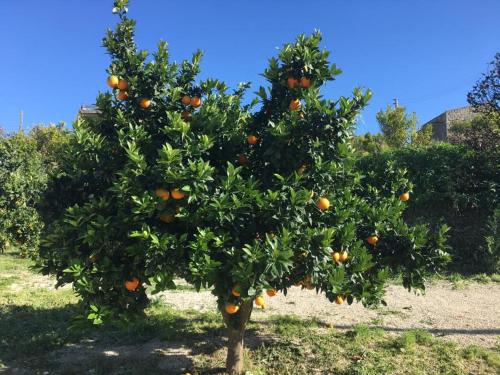 Tenuta Lanza Il Mulino