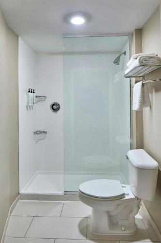 SpringHill Suites by Marriott Atlanta Alpharetta - image 26