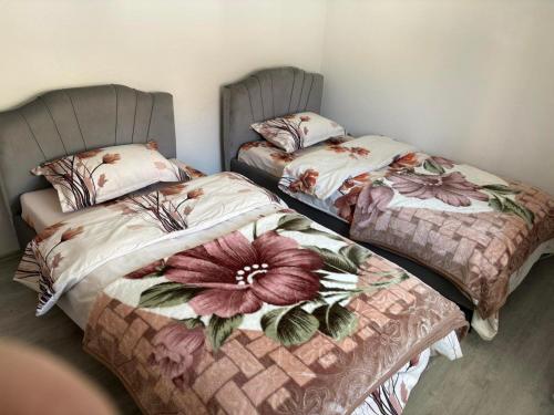 Radesha Guest House in Dragash