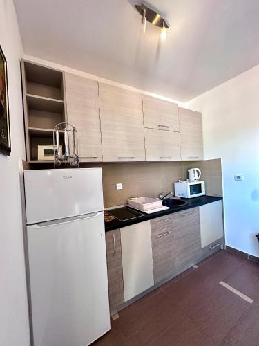 Apartments Ivan in Petrovac