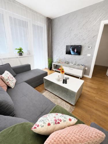 Apartment VIP