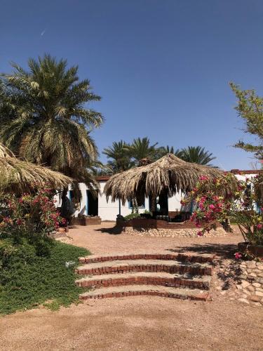 สภาพแวดล้อมโดยรอบ, Palm Valley camp in นูเบีย