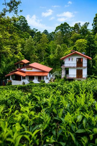 Haputala Blossom guest