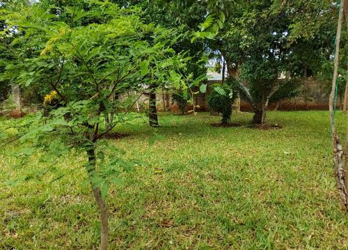 lewisville boutique villa in Kilifi
